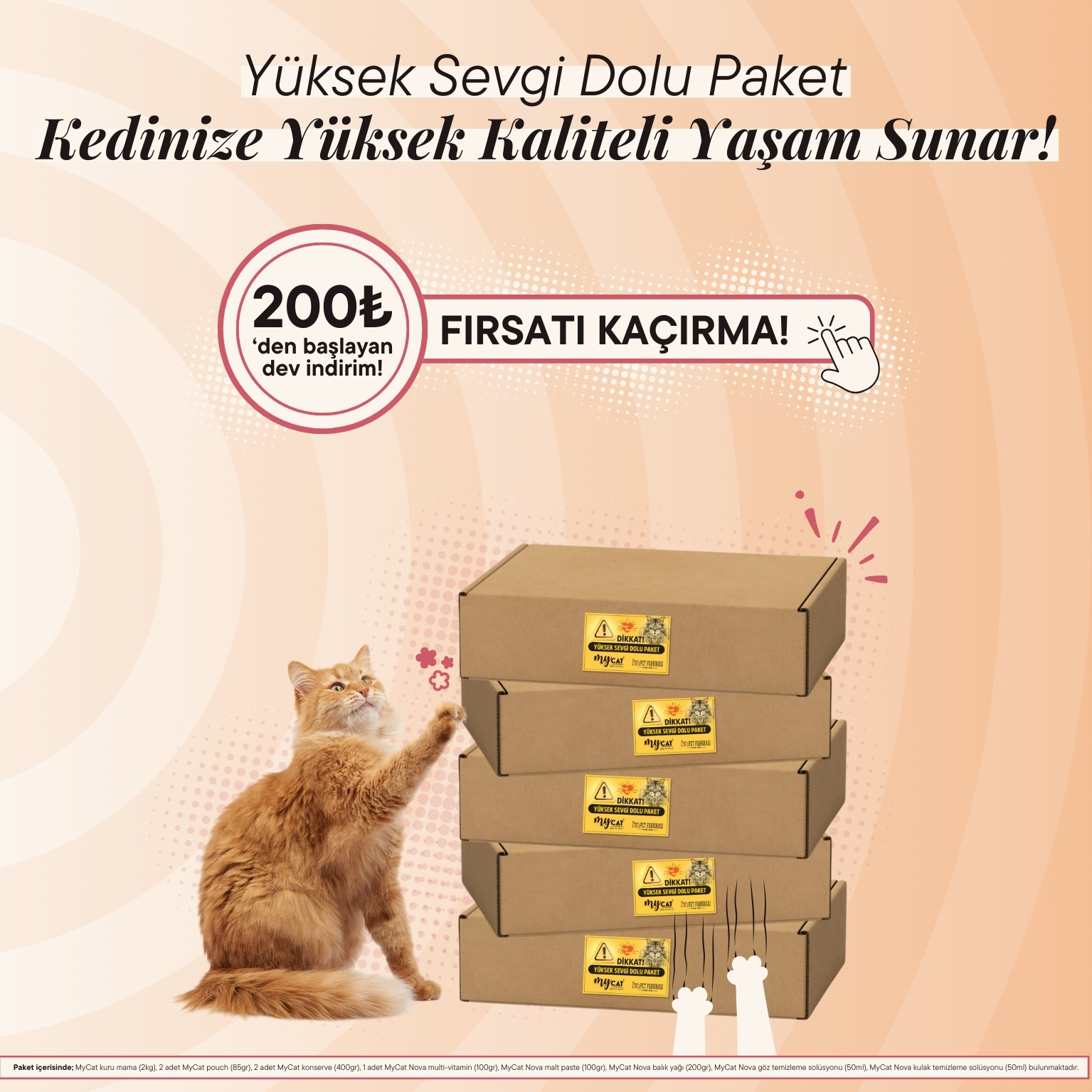 Yüksek Sevgi Dolu Paket Website Banner (Mobil/Kedi)