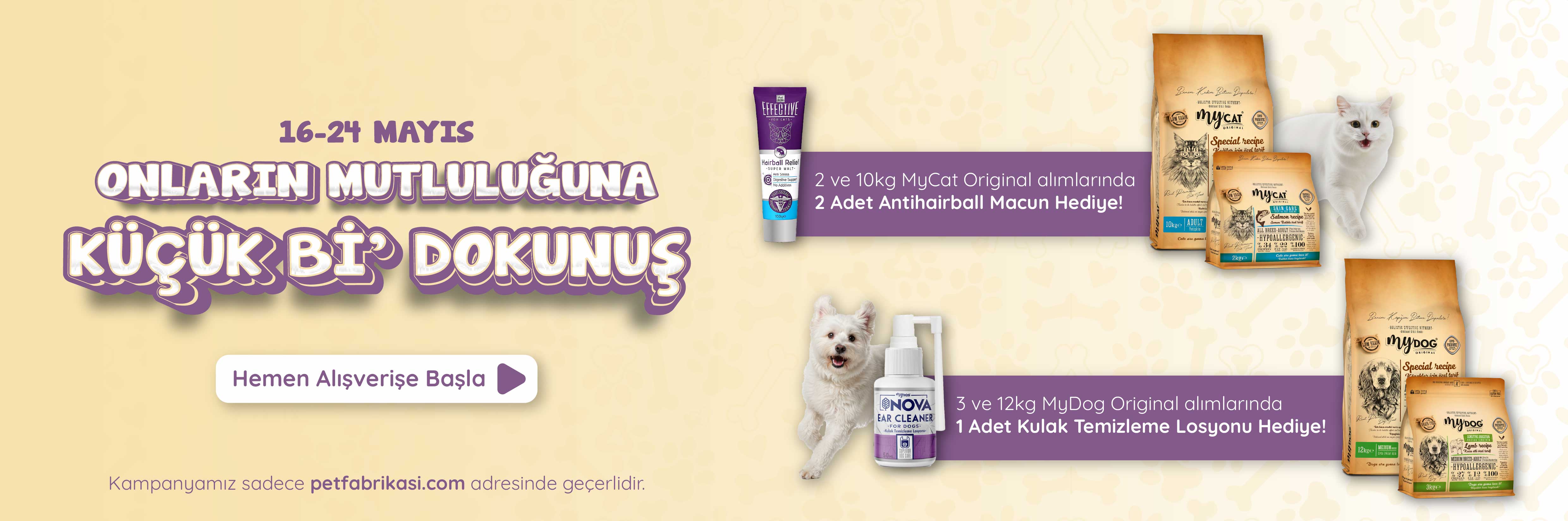 Onların Mutluluğu - Web