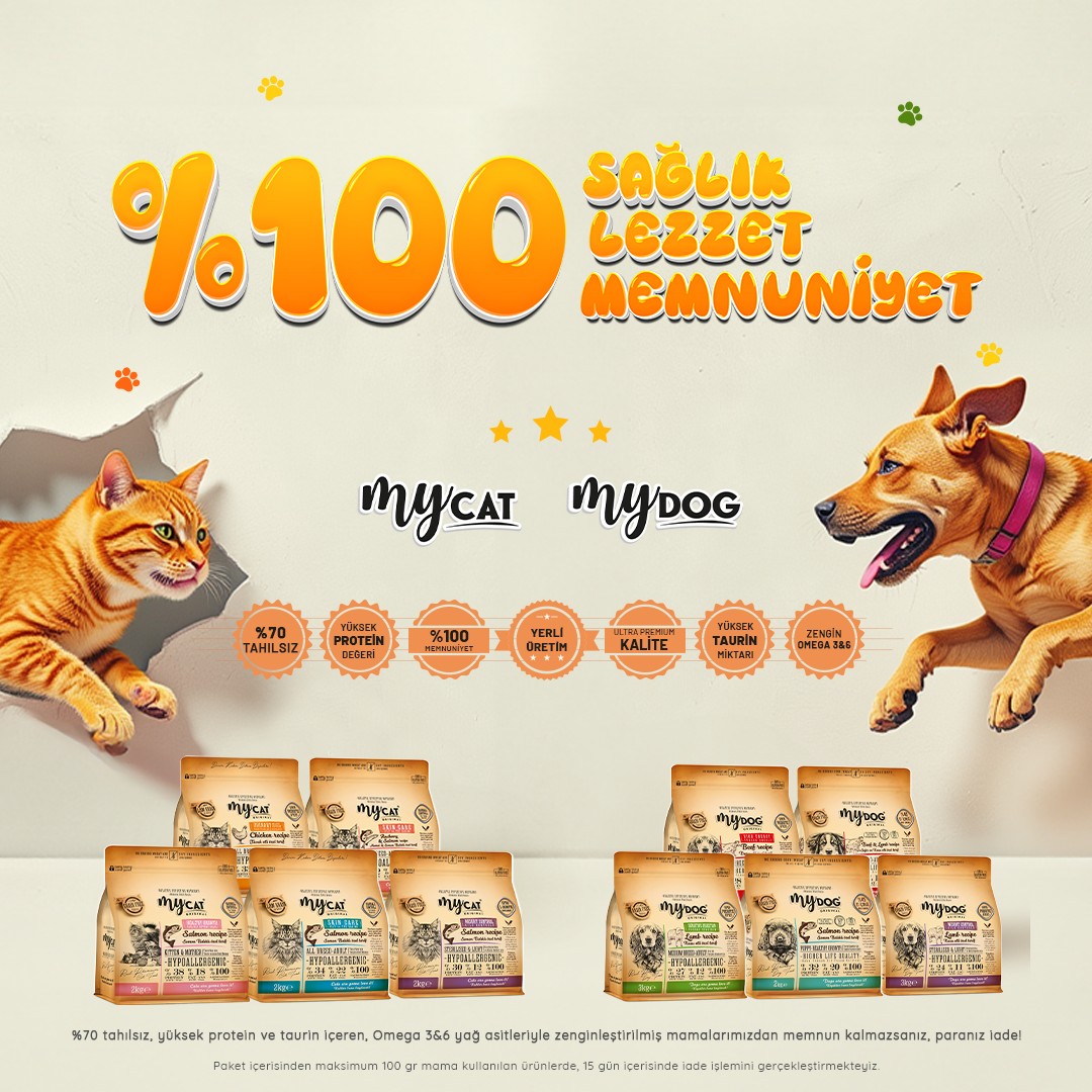 %100 Memnuniyet - Web