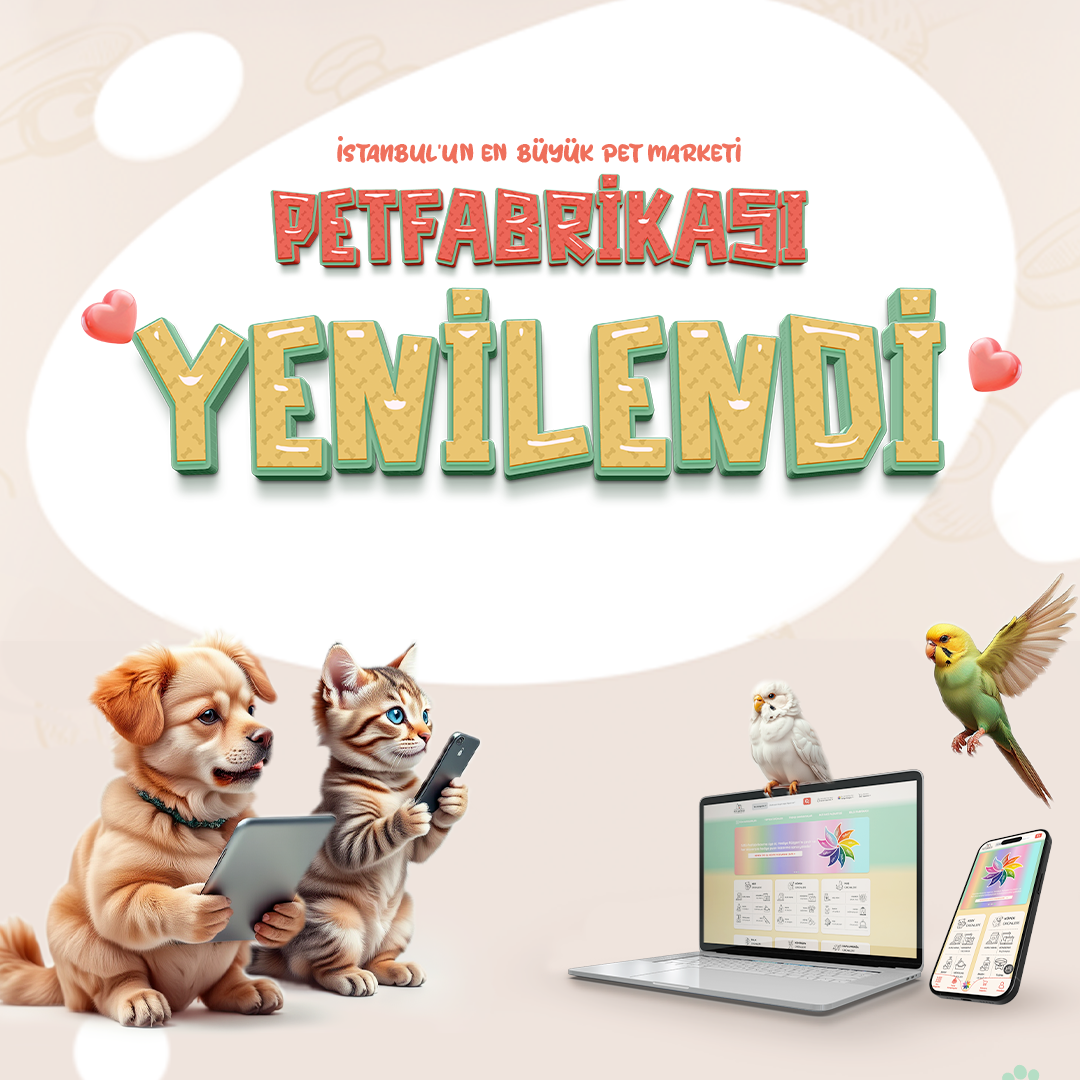 Yenilendi - Mobil