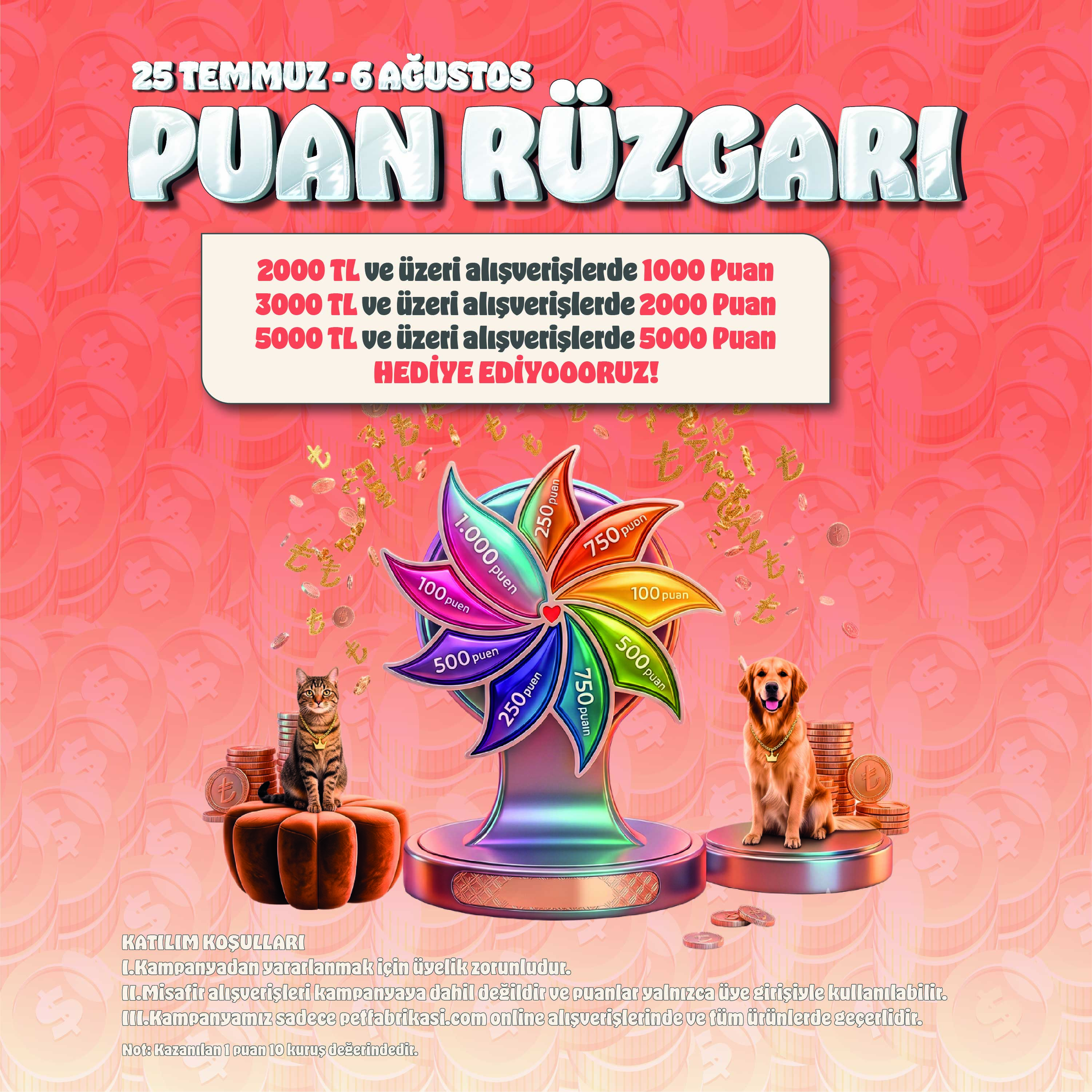 Puan Rüzgarı - Mobil