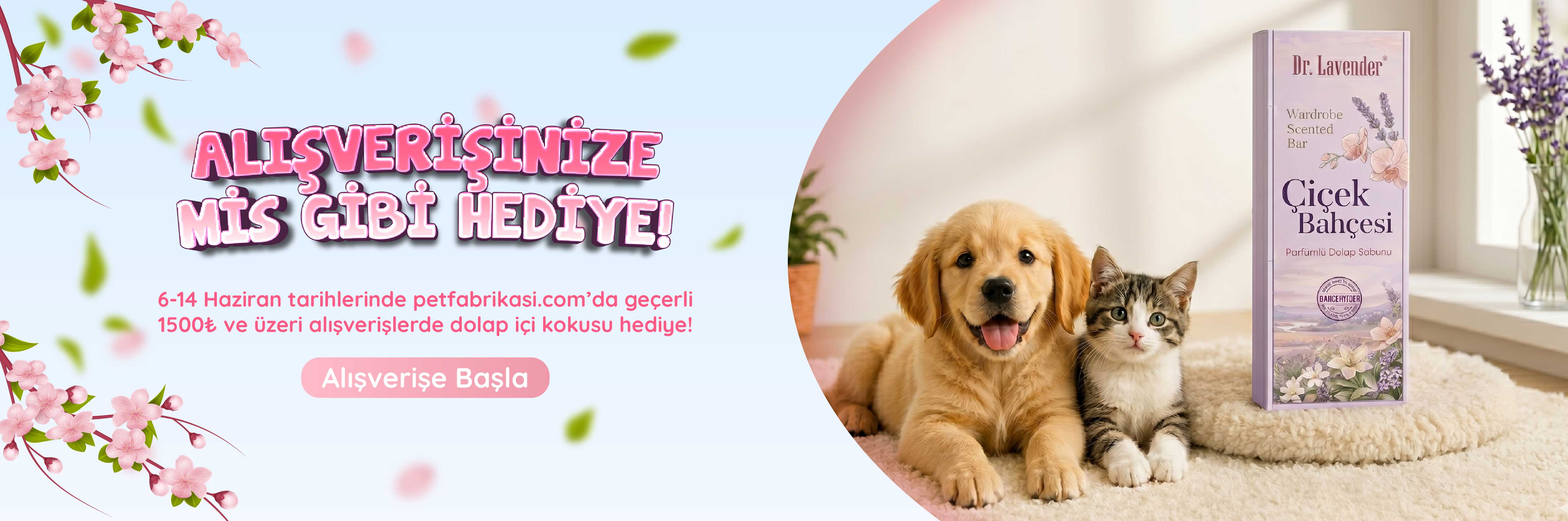 Oda Kokusu Hediye - Web