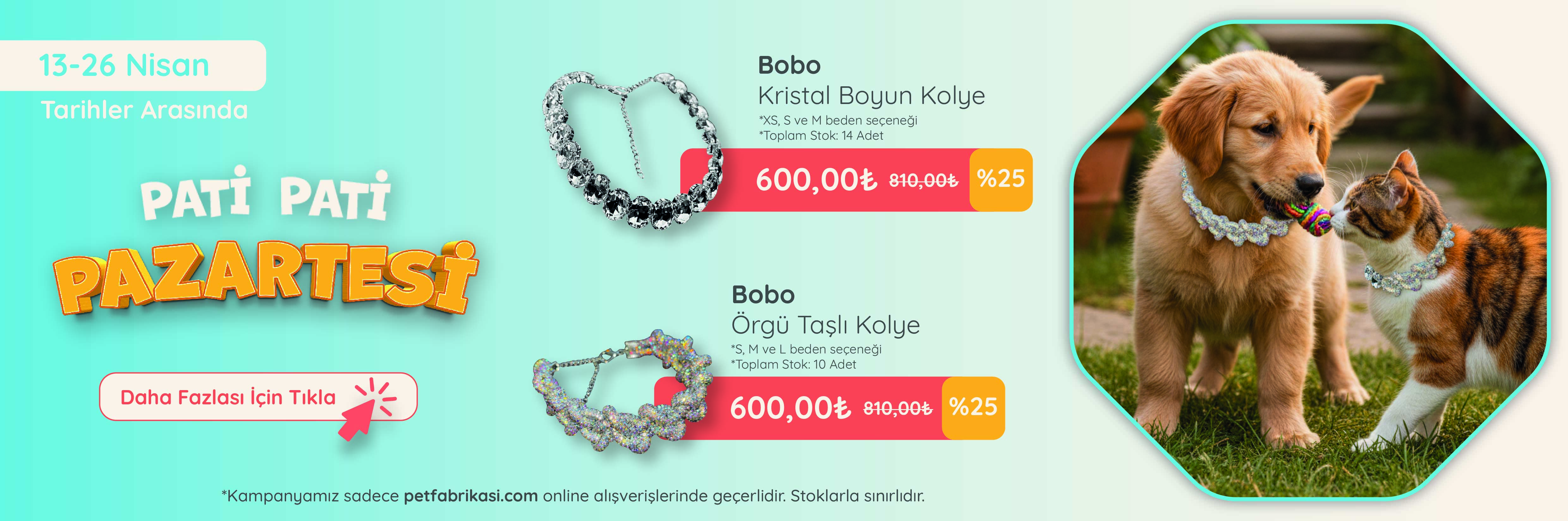 Pati Pati Pazartesi - Web