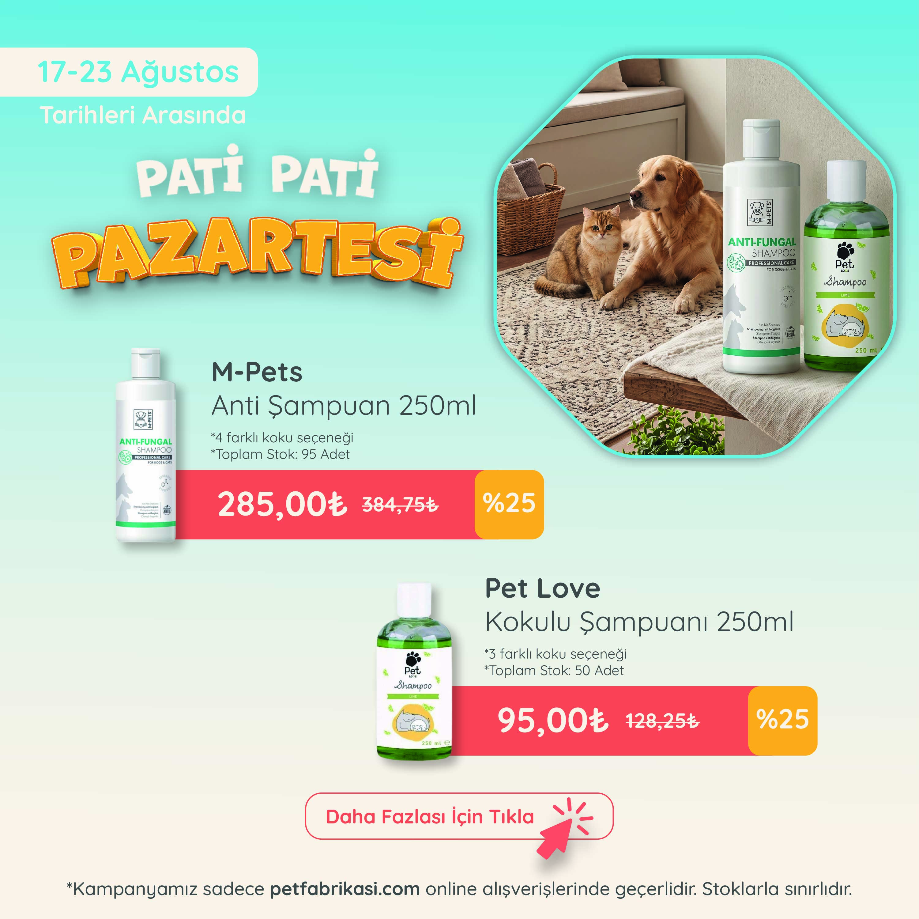 Pati Pati Pazartesi - Mobil