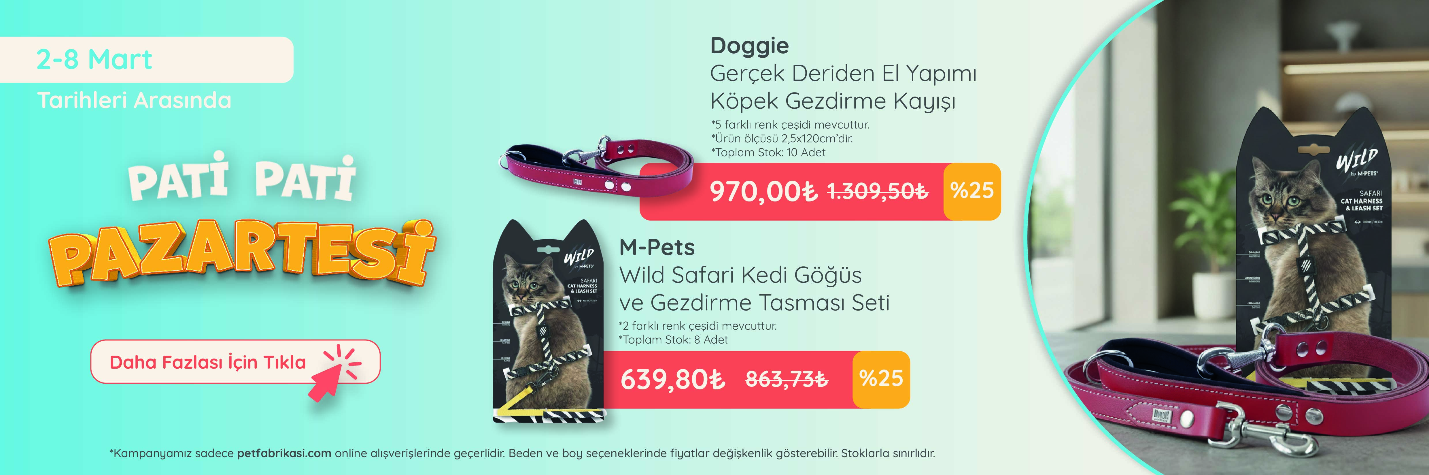 Pati Pati Pazartesi - Web