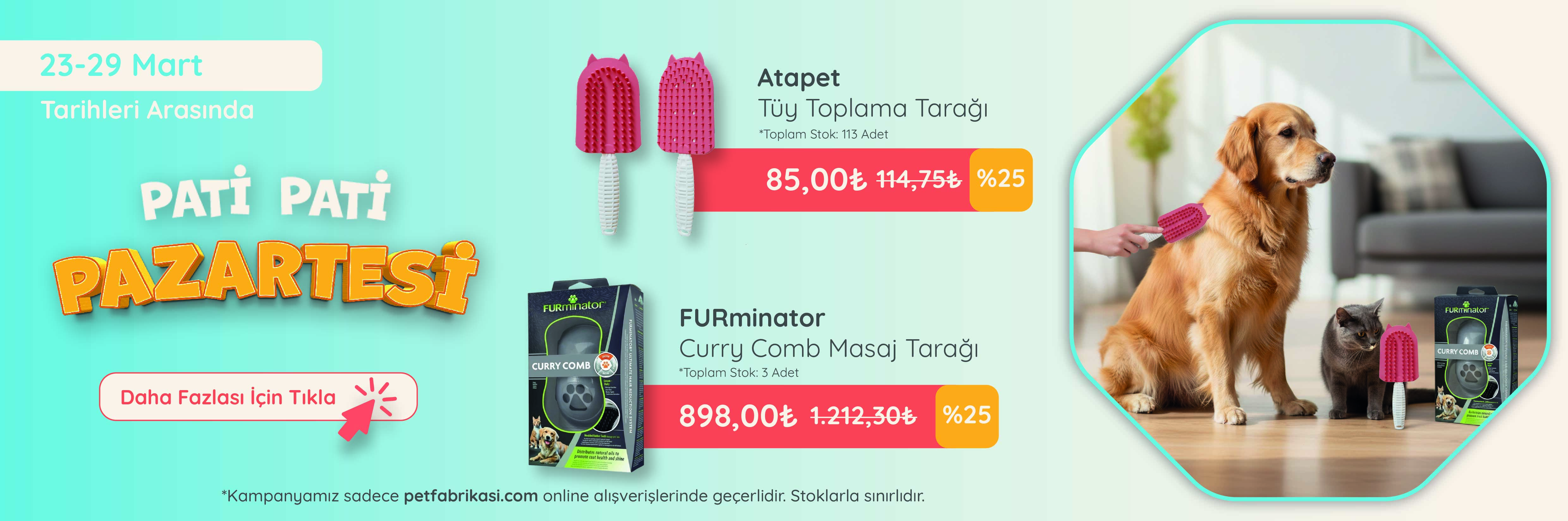 Pati Pati Pazartesi - Web