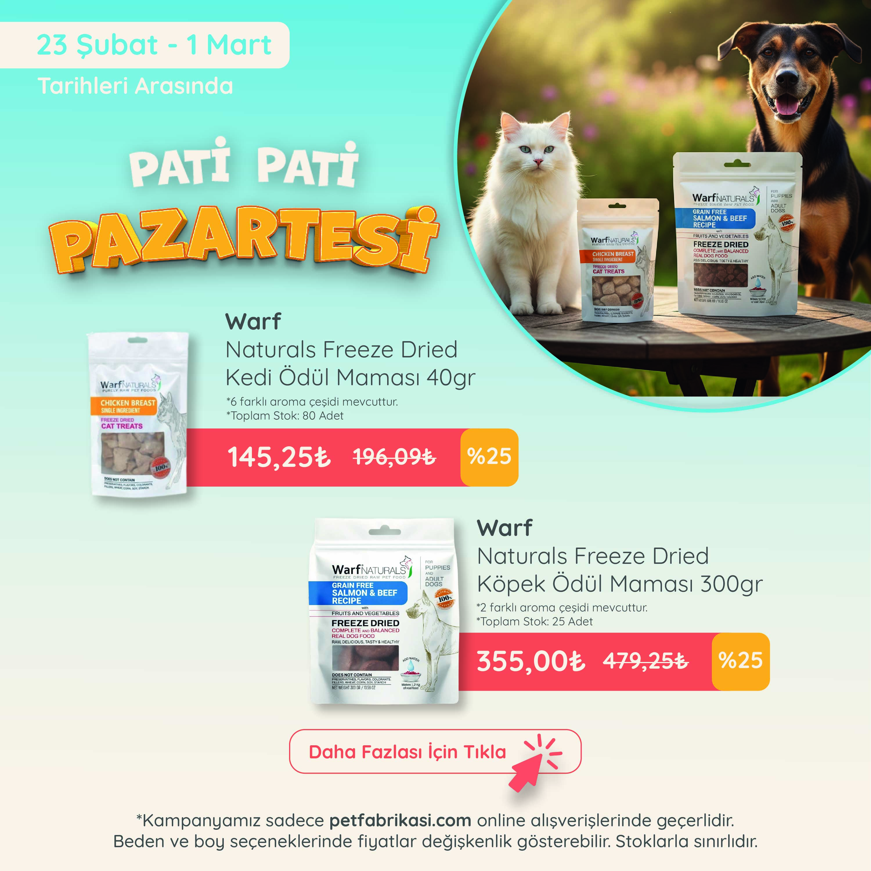 Pati Pati Pazartesi - Mobil