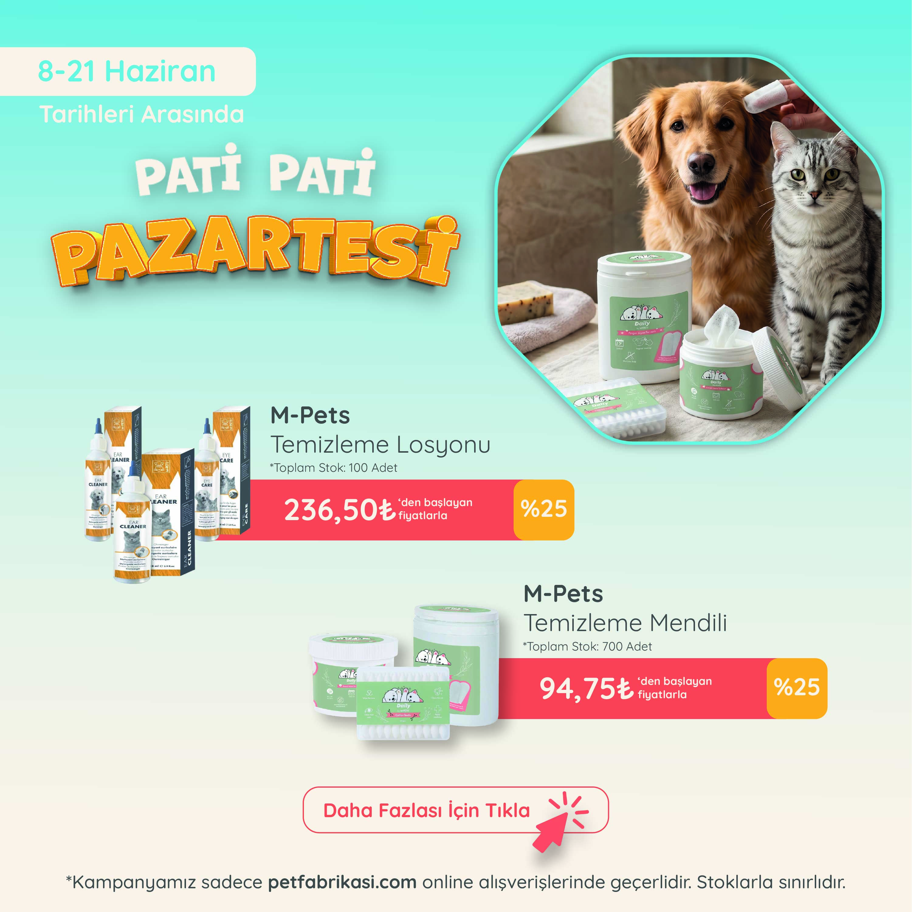 Pati Pati Pazartesi - Mobil