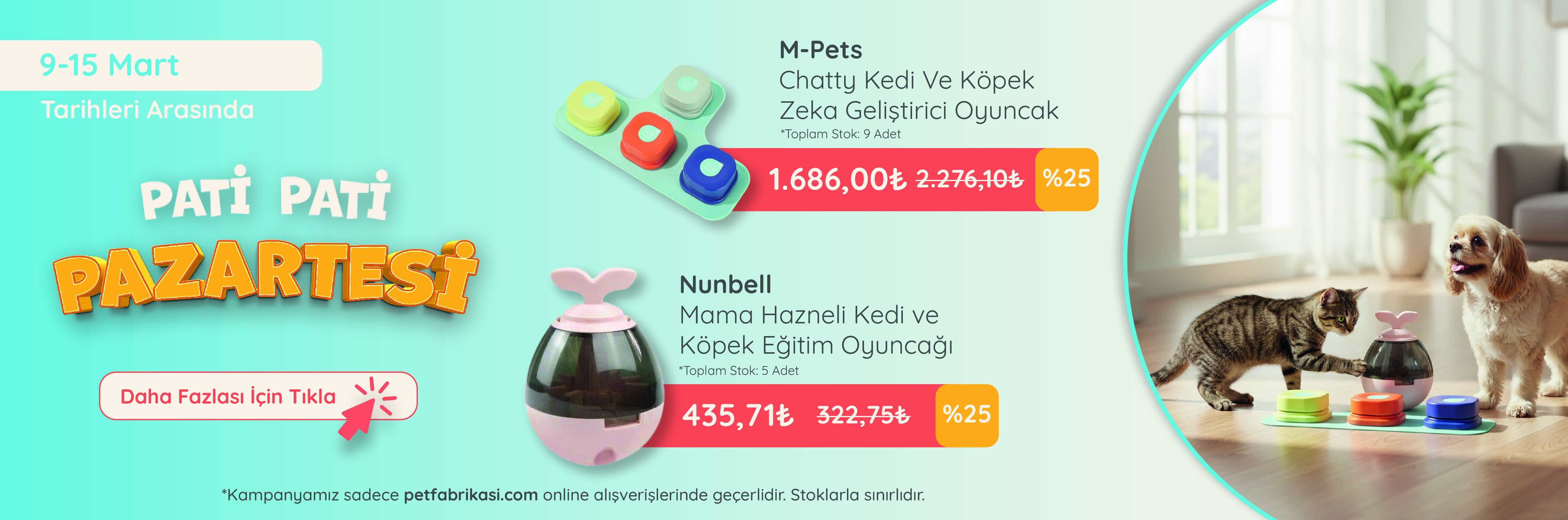 Pati Pati Pazartesi - Web