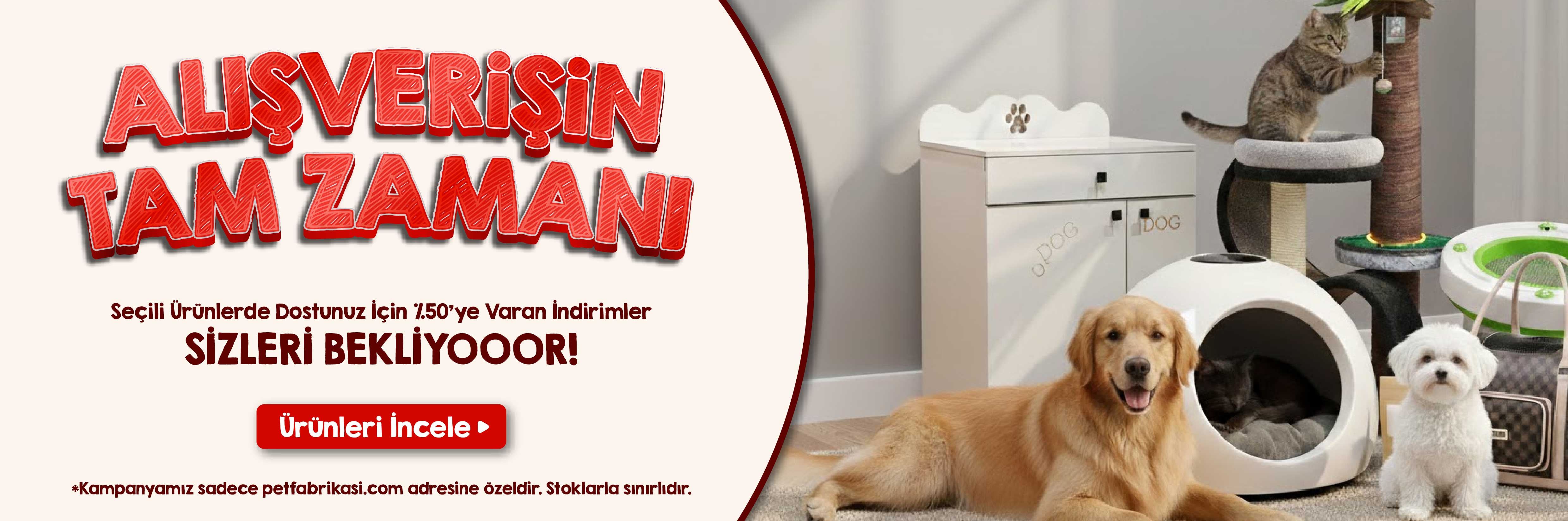 Trend Kampanyalar - Web