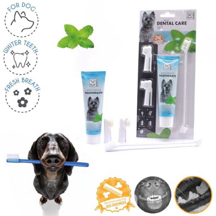 brsp 10110799 M-PETS KÖPEKLER İÇİN NANELİ DİŞ MACUNU+FIRÇA SETİ-1