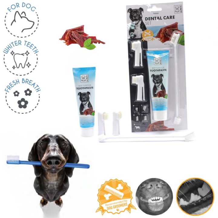 brsp 10117299 M-PETS KÖPEKLER İÇİN BİFTEKLİ DİŞ MACUNU+FIRÇA SETİ-1