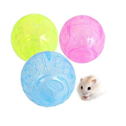 has-510-RJ179 Carno Hamster Egzersiz Top 14.5cm -1