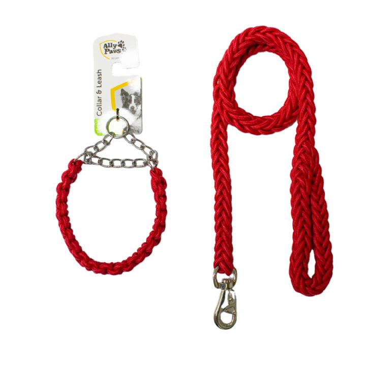 brsp 10713 ALLY PAWS COLLAR & LEASH (M) 2CMX120CM-1