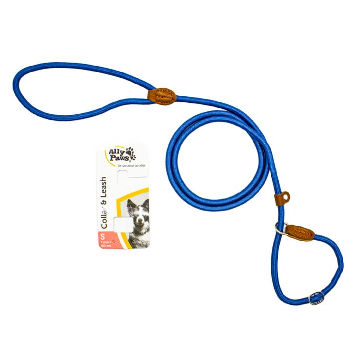 brsp 10720 ALLY PAWS COLLAR & LEASH (S) 8MMX150CM-1