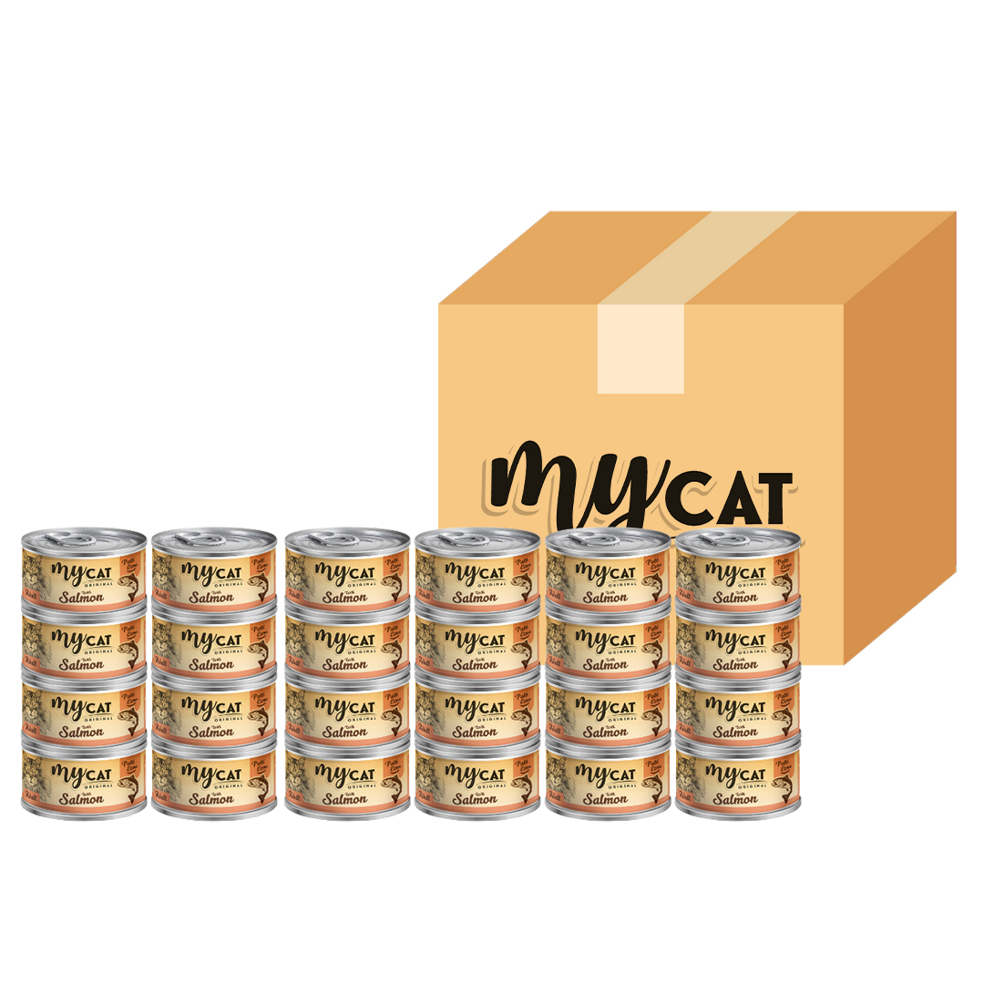 Mycat Somon Balıklı  Pate  Kedi Konservesi 80 Gr(24'lü) -1