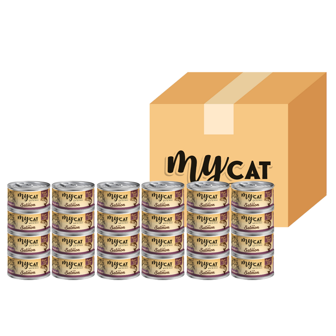 Mycat Somon Balıklı  Pate KISIR  Kedi Konservesi 80 Gr(24'lü) -1