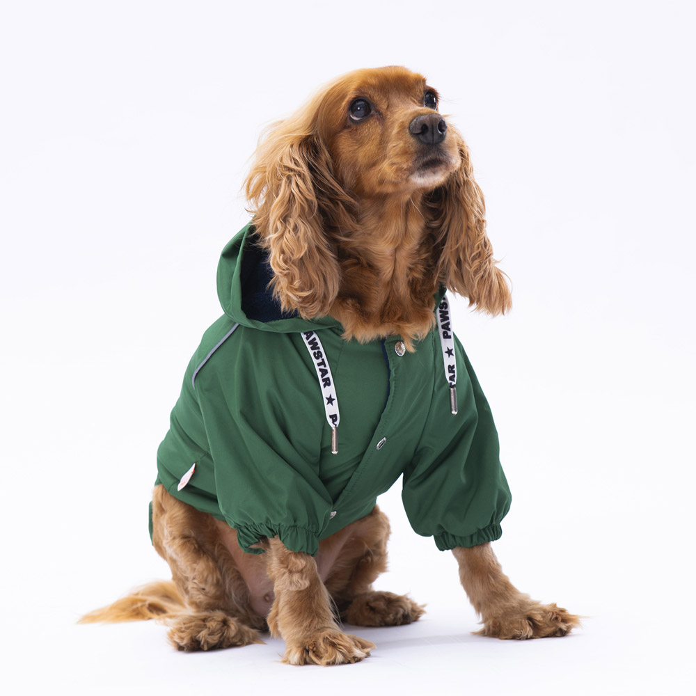 paw- 22553 green pluvia raincoat 2XL beden-1