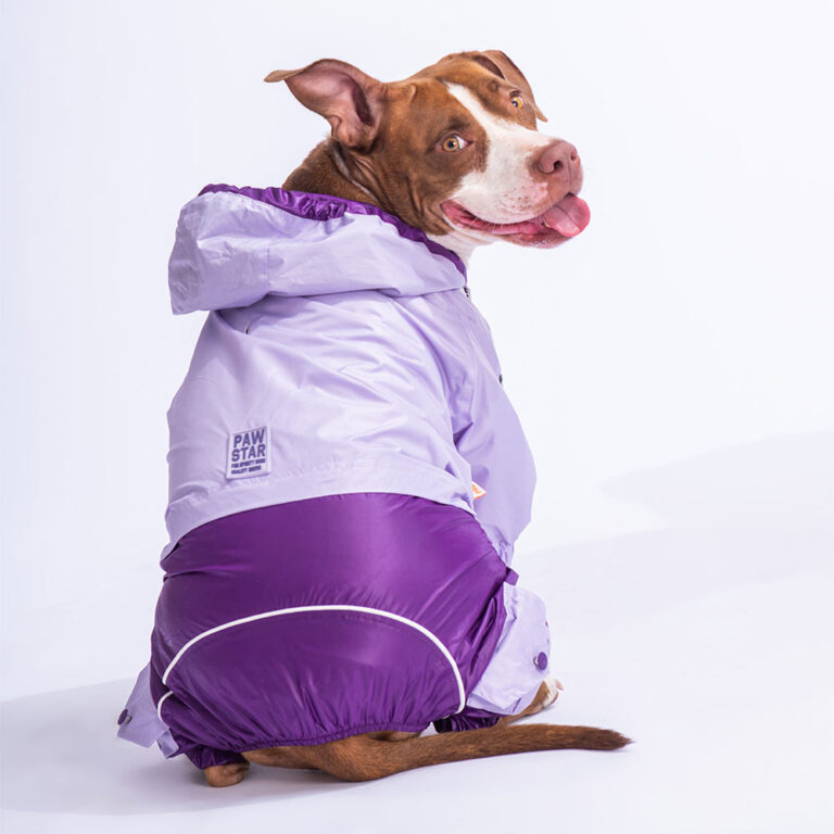 paw- 23565 lilac purple bicolor 3xl beden-1