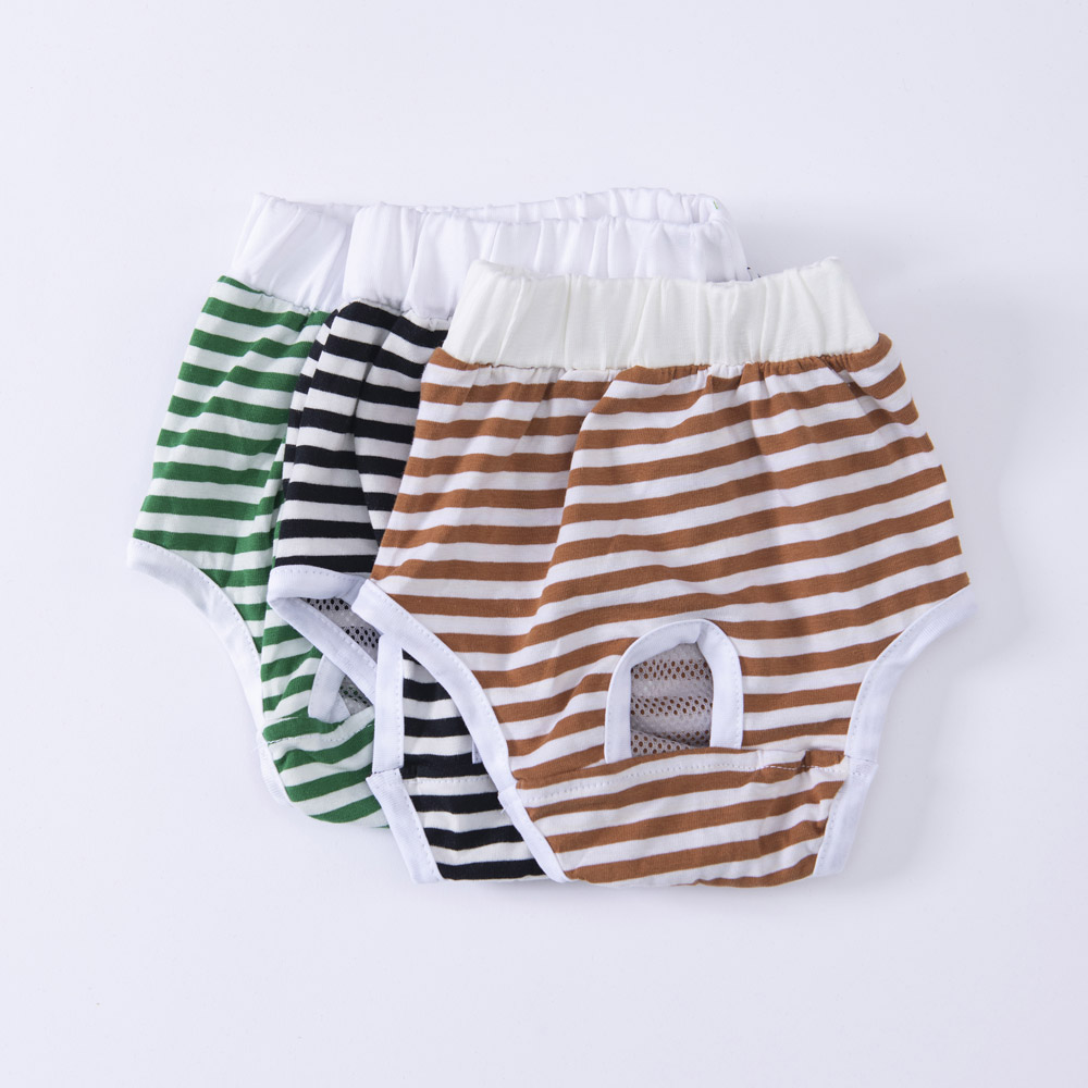 paw- Çamaşır Underwear  Çizgili 0 Numara 23062-1