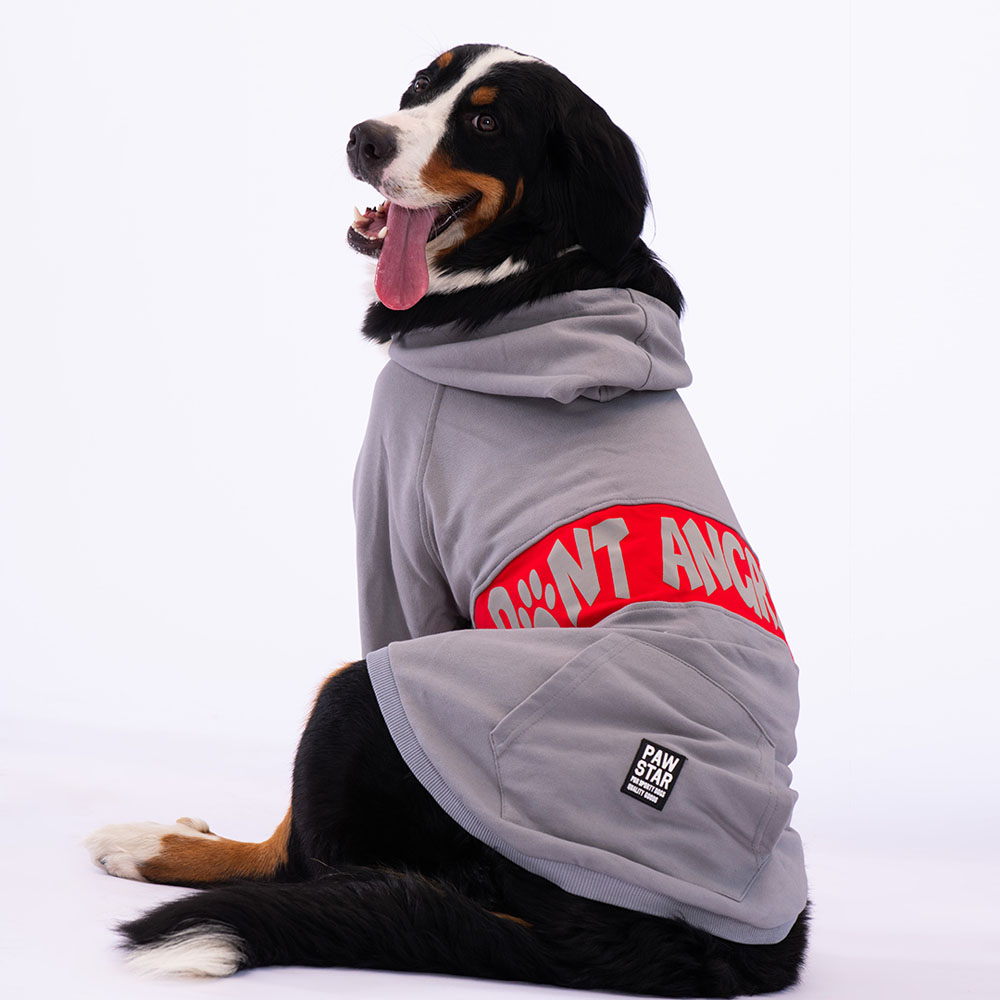 paw-23251 gri angry dog büyük ırk ceket 6XL beden-1