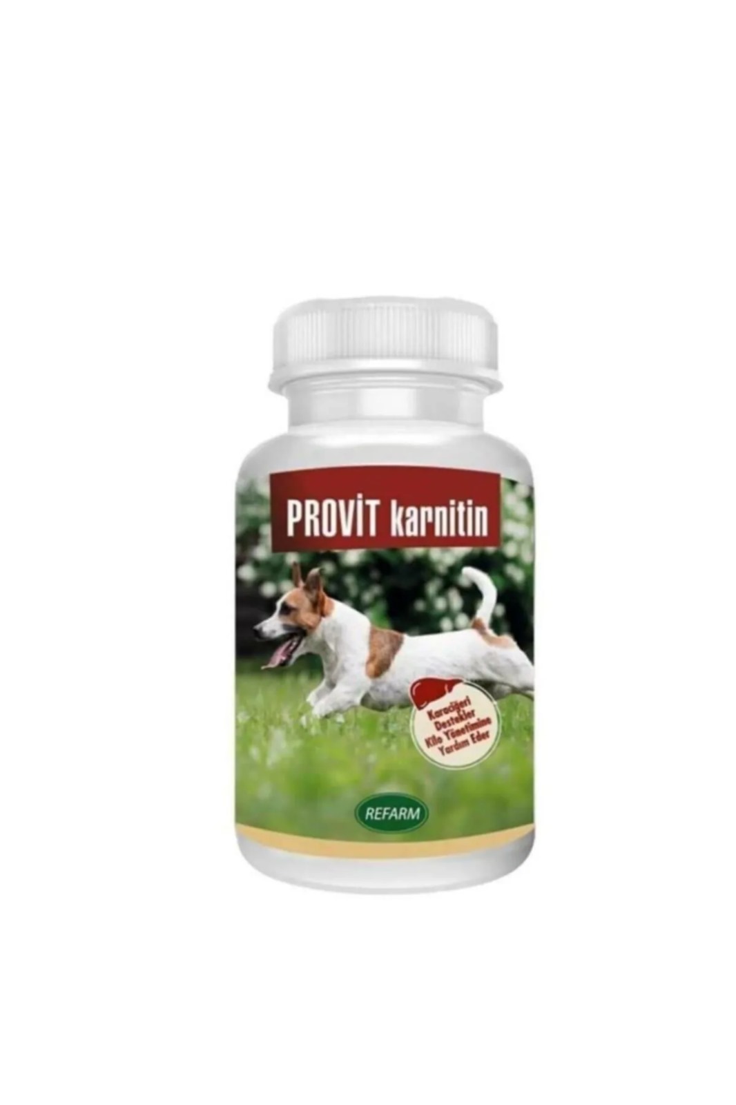 prf PROVIT Karnitin 100 Gr.Karaciğer Destekleyici-1