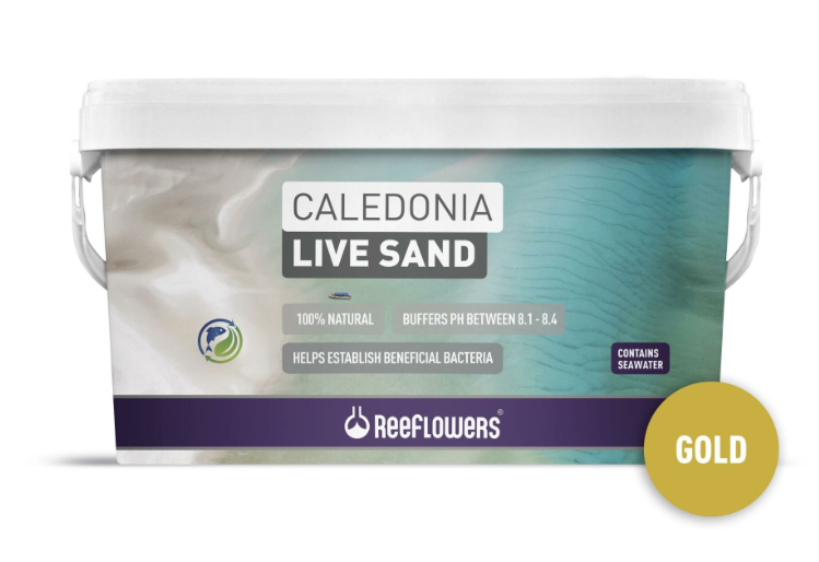 rfl CALEDONİA LİVE SAND - GOLD 18 KG-1