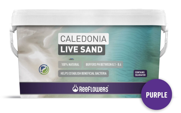 rfl CALEDONİA LİVE SAND - PURPLE 18 KG-1