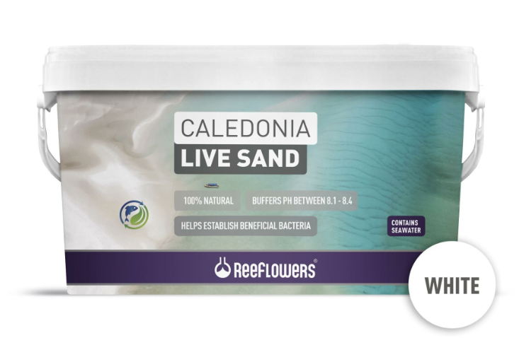 rfl CALEDONİA LİVE SAND - WHİTE 18 KG-1