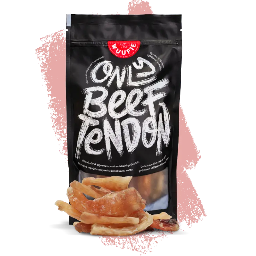 wuufie beef tendon dana tendon 150 gr köpek ödülü-1